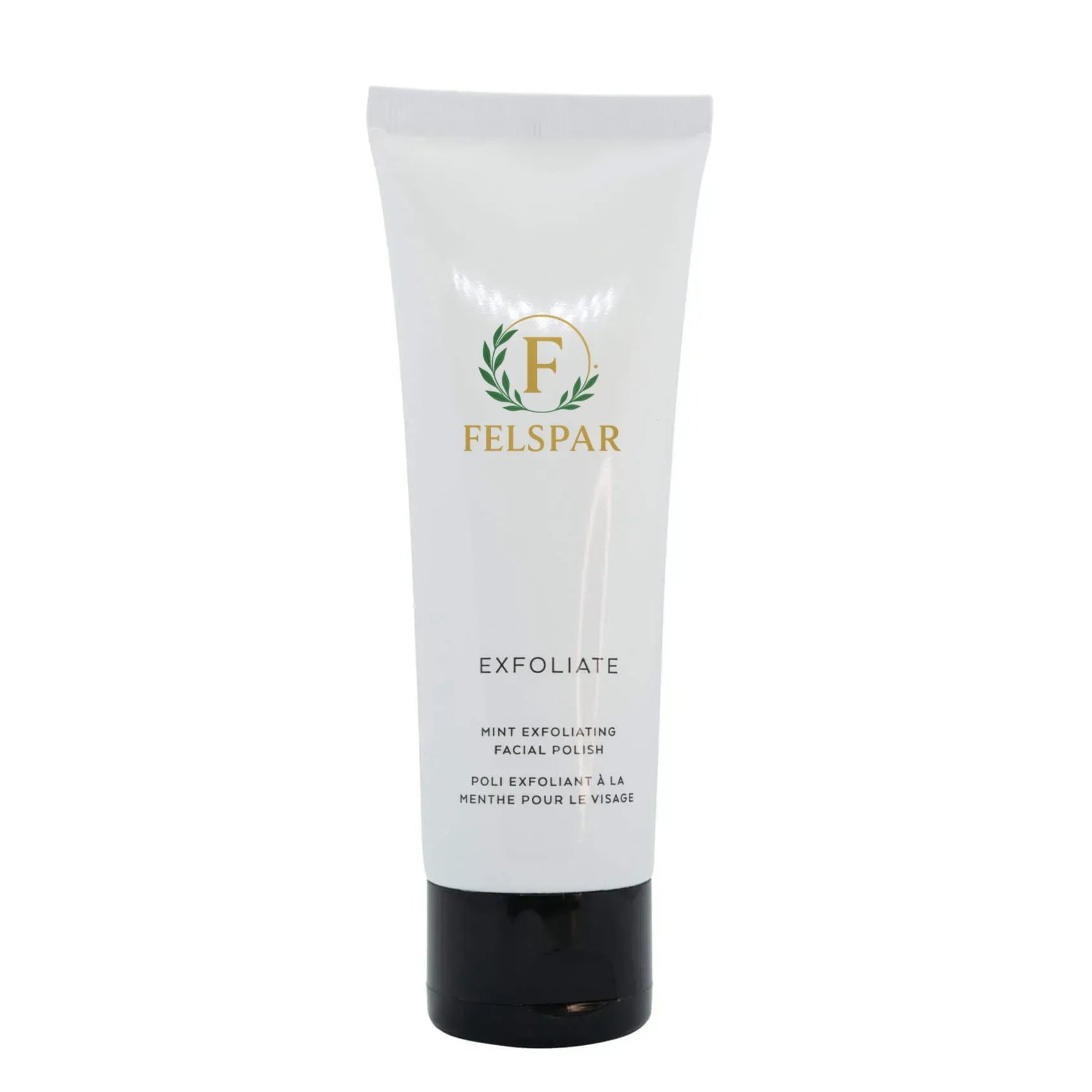 Mint Exfoliating Facial Polish.png
